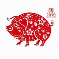 Bekanntmachung von Nanjing Haisi 2019 Frühlingsfest-Feiertagsanordnung