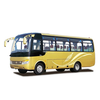 Anwendung von Kunststoff-Holz-Verbundmaterial in der Seite Innenplatte des Pkw-Autos