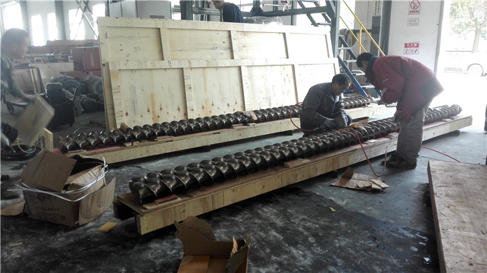 Integrierter paralleler Doppelschneckenextruder