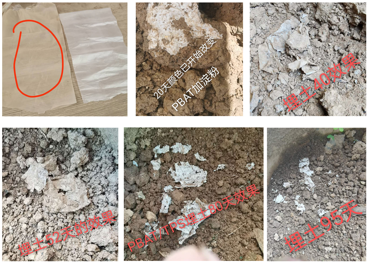 Biokompostierbares Granulatherstellungsmaschine