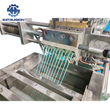TSE-75 HAISI Color Master Batch Extruder